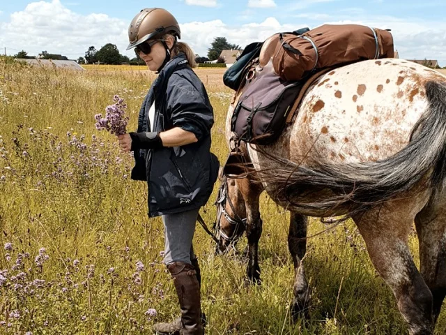 Cheval à côté de sa cavalière avec des fleurs dans la main