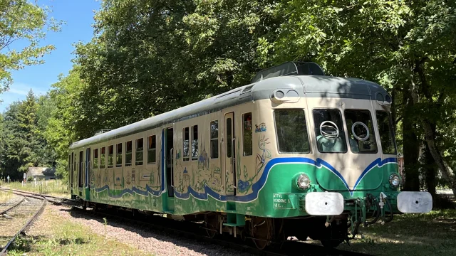 Train touristique sur les rails devant des arbres