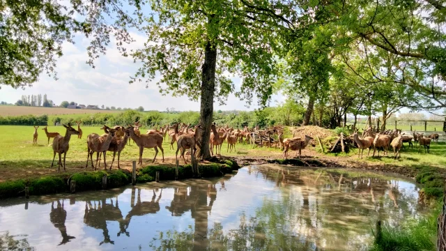 Ferme de l'Etang