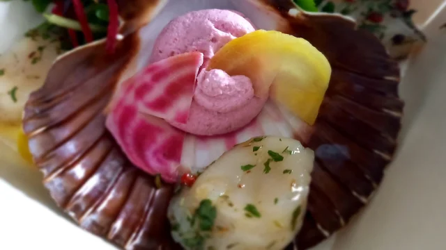 Coquille Saint-Jacques ouverte avec mousse rose et légumes de couleurs (jaunes, verts, roses)