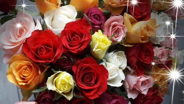 Bouquet de roses avec différentes couleurs avec étoiles par dessus