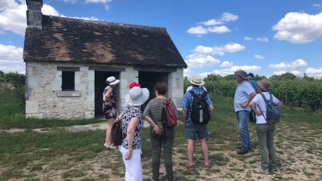 Loge De Vignes Pente Des Coutis