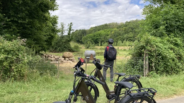 Balade sur nos routes de campagne